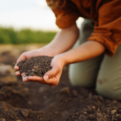 Pre-Spring Soil Prep: A Regenerative Roadmap