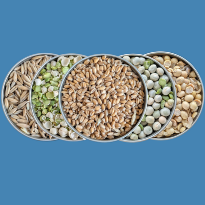 Put Good In, Get Good Out