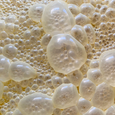 Fermenting Poultry Feed