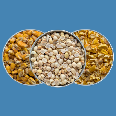 Corn & Soy in Livestock Feed: Why Some Farmers Want Alternatives